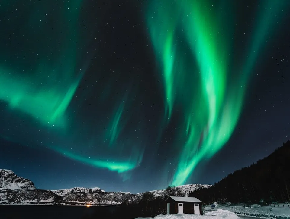 特羅姆瑟峽灣上空的綠色極光，前景是覆雪的海岸與零星燈火