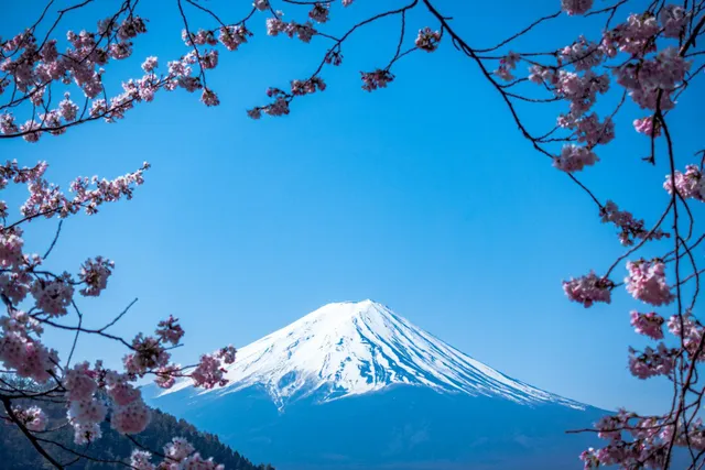 【日本自由行攻略】一個月的日本環島自助旅遊計劃！交通、網卡和事前準備必備資訊
