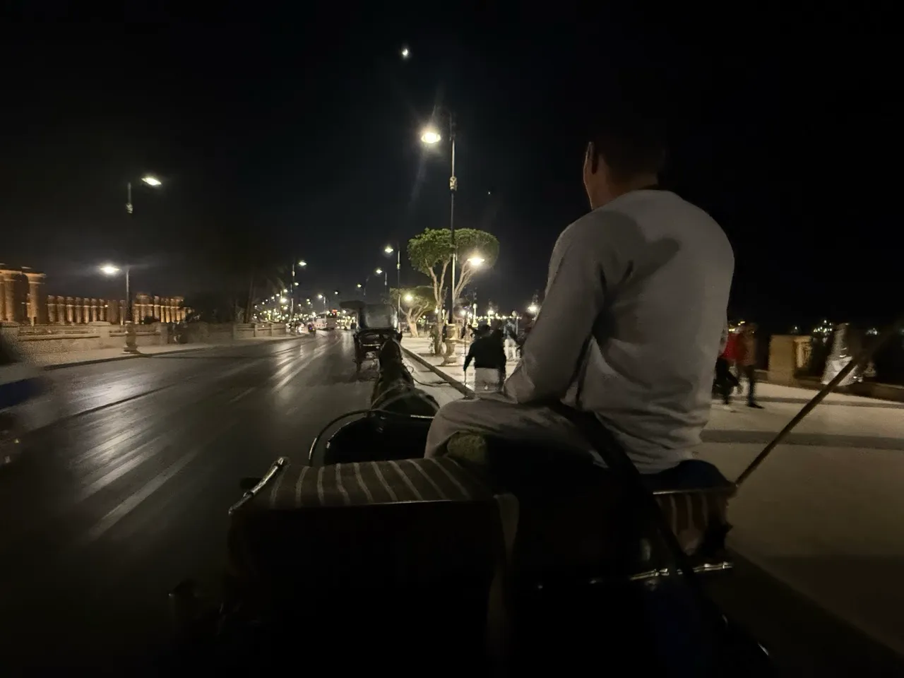 埃德富碼頭前的觀光馬車,夜間街道上等候載客
